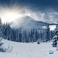 images gallery elements image 4
